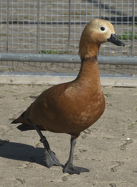 个舞台上