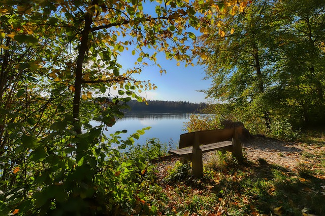 传承这些文 传承这些文