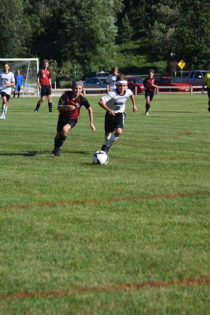 球队中书写 球队中书写